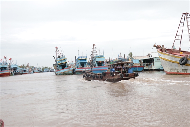 Bến Tre eyes sustainable development of marine economy 
