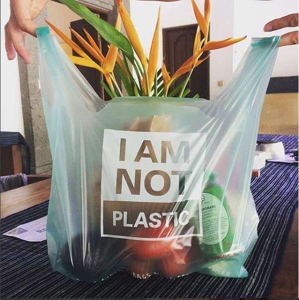 Compostable Food Waste Bags - Paper – Refill & Replenish