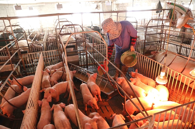 Hà Nội needs to accelerate farm economy