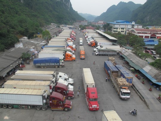 Coronavirus delays Việt Nam’s agricultural exports to China