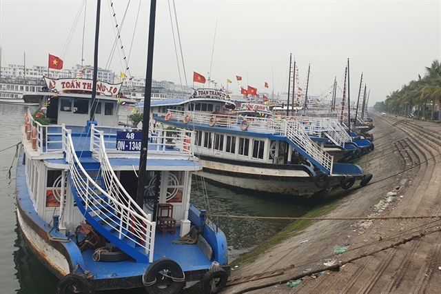 Hạ Long Bay suspends tours closes relic sites