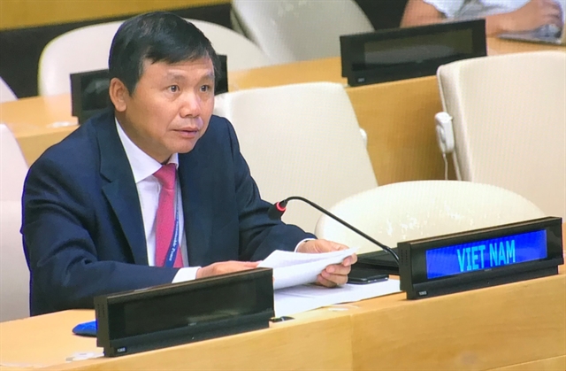 Việt Nam urges Houthi rebels to cooperate with UN in oil tanker issue