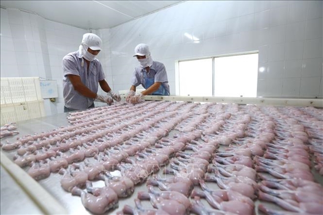 VN’s agro-forestry-fishery earns US$6.2 billion trade surplus