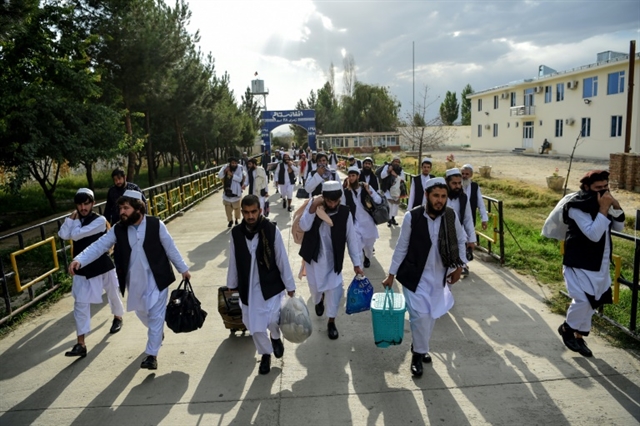 Afghan govt urges Taliban to extend ceasefire