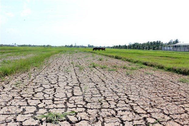 Mekong Delta region faces water shortages saline intrusion