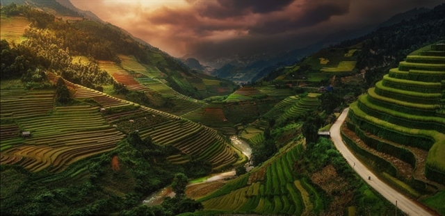 Picture of Vietnamese rice terraces enters prestigious photography competition