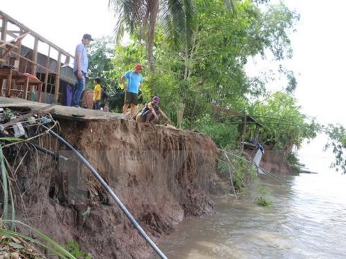 Low-lying Mekong Delta deals with worsening land subsidence