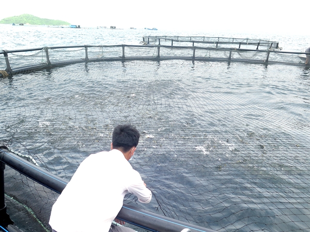 Plastic floating cages improve fish farming in Khánh Hòa Province