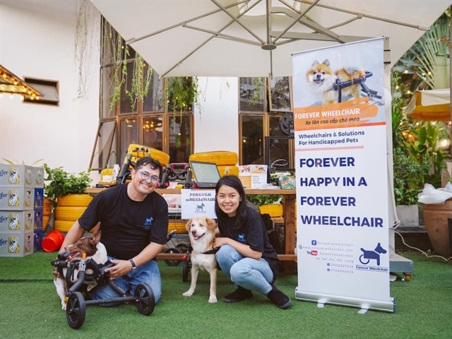 Pet-loving expat in HCM City makes wheelchairs for handicapped animals