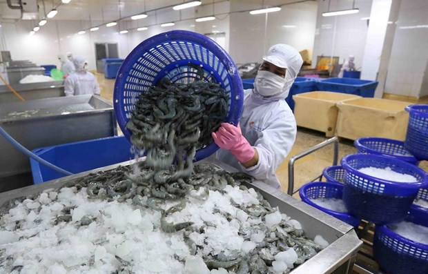 Shrimp exports well on the way to recovery