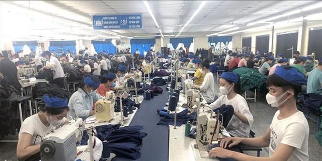 Việt Nam needs to kick off economic recovery programme: experts