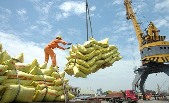 Vietnamese rice export price reaches record level