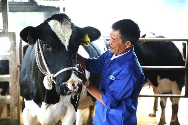 Mộc Châu Milk target highest ever profit and revenue
