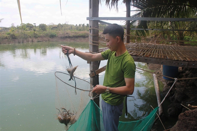 Đắk Lắk man prospers thanks to organic agriculture