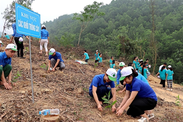 Govt Gives Green Light To One Billion Tree Planting Project 