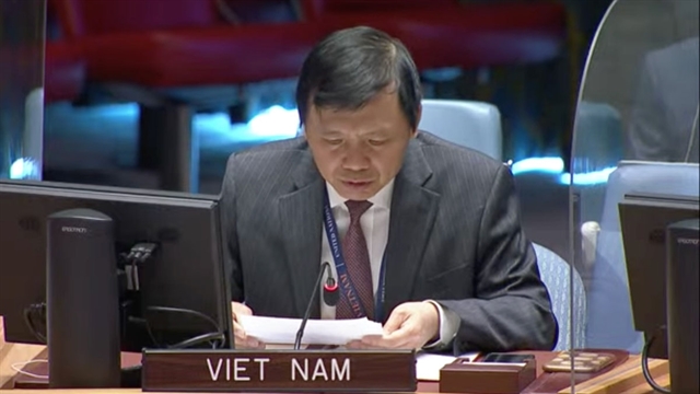 Việt Nam worried about continued violence, extreme racial discrimination