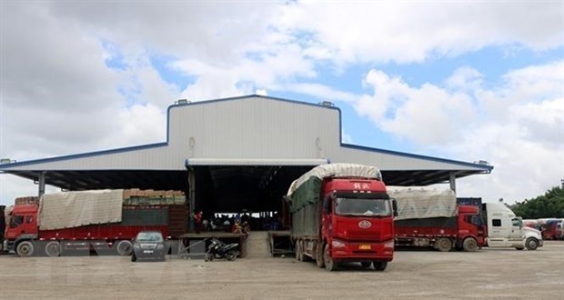 Over 1 million tonnes of goods channelled through Quảng Ninh’s Móng Cái border gate