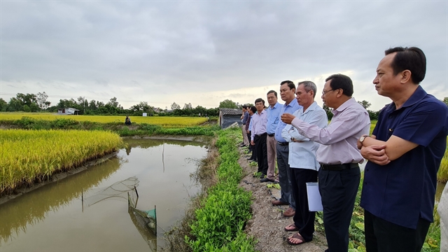 Organic farms, agro-tourism in Bạc Liêu yield higher profits, protect the environment