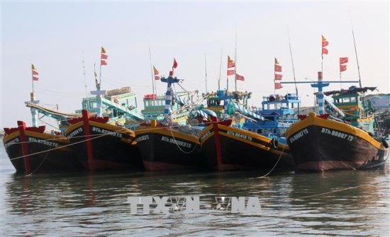 Large fishing ships resume operations at La Gi Port
