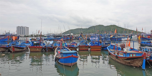 Mekong Delta's fishing boats stopped fishing due to the Covid-19 pandemic