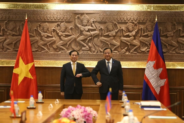 Việt Nam, Cambodia enjoy thriving ties: Foreign Ministers