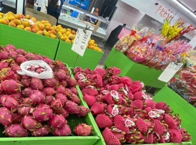 Vietnam exports large volumes of dragon fruit to Australia