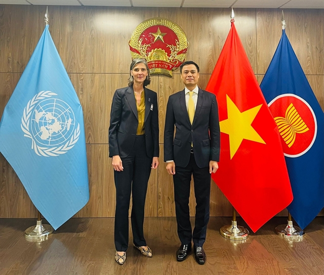 New UNDP Resident Representative pledges support to Việt Nam's development