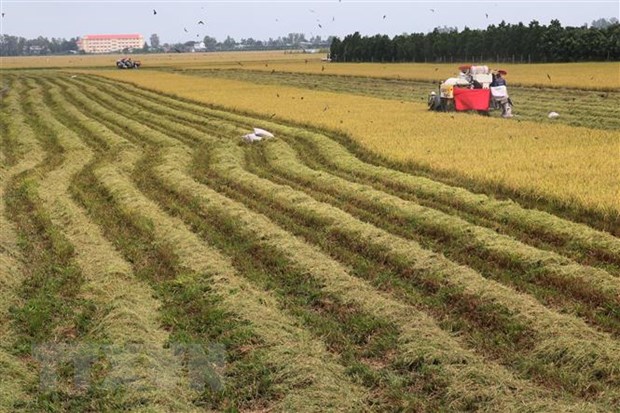 Minister urges Mekong Delta to develop agricultural economy mindset
