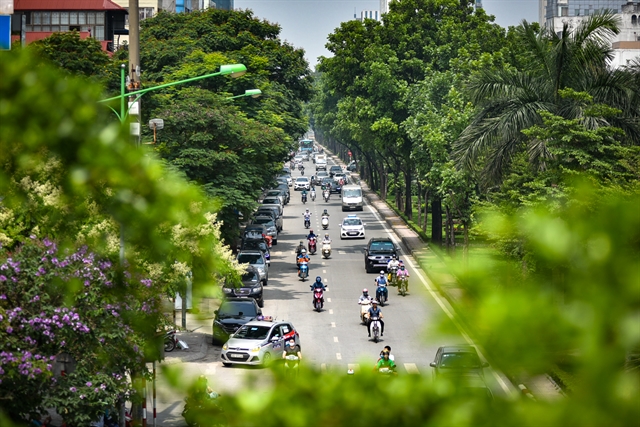 Hà Nội manages to raise tree coverage in urban areas