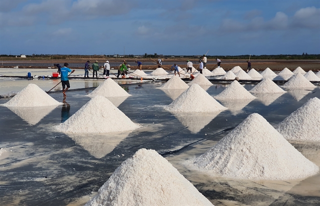 Bạc Liêu to increase value, quality of salt production