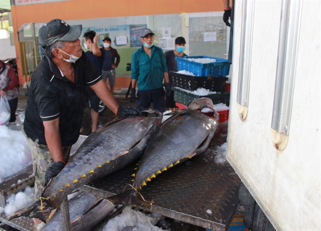 Việt Nams tuna exports up strongly in January