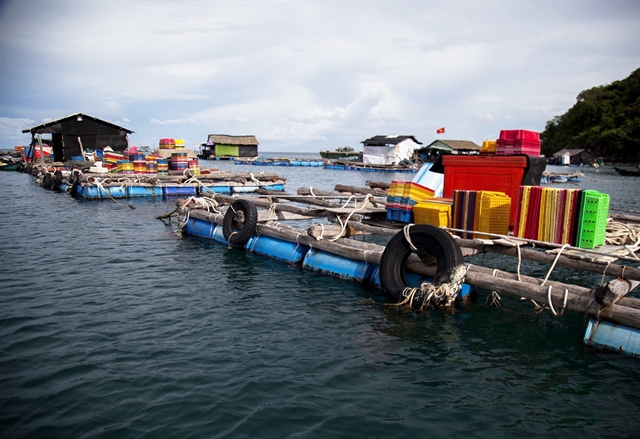Kiên Giang eyes sustainable development of marine aquaculture