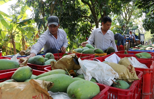 An Giang to improve farmers incomes with agricultural restructuring
