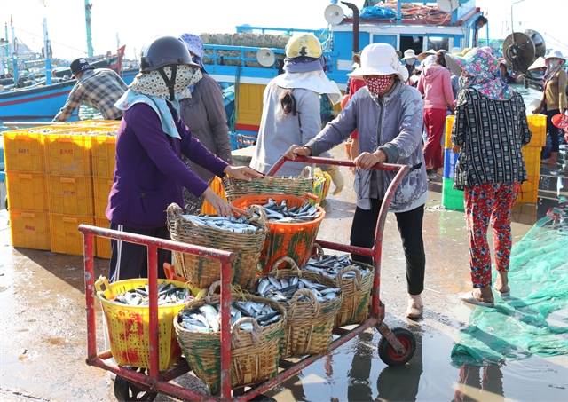 Ninh Thuận fights illegal fishing to boost sustainable maritime economy