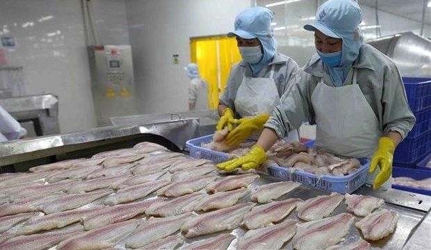 Việt Nams pangasius exports surge in Q1