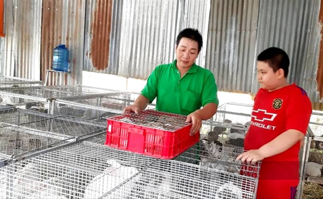Hopping on the trend: Tiền Giang farmer finds fortune in rabbits