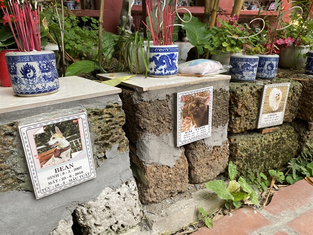 An unusual cemetery where pets can be remembered