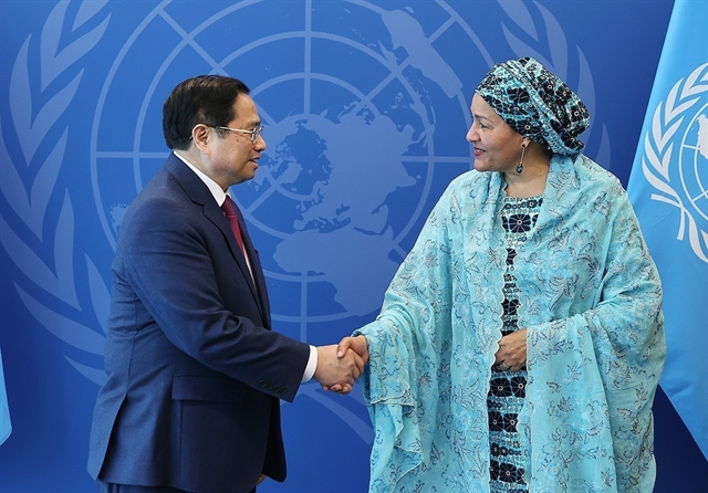 Việt Nam to play more active role at UN: PM