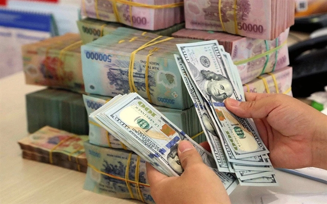 VN manages to control public debt