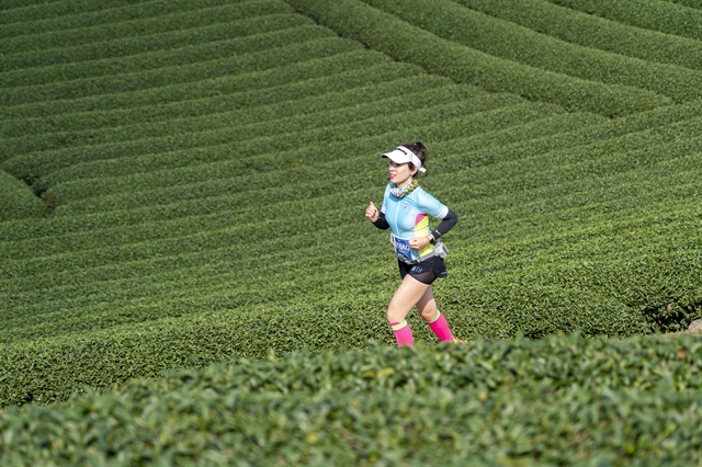 Mộc Châu hosts Việt Nam Trail Marathon in harvest season