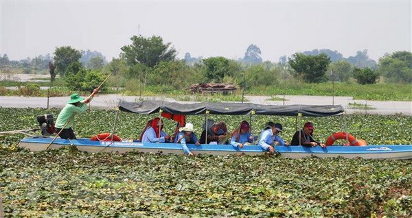 Agri-tourism: Mekong Delta targets two birds with one stone