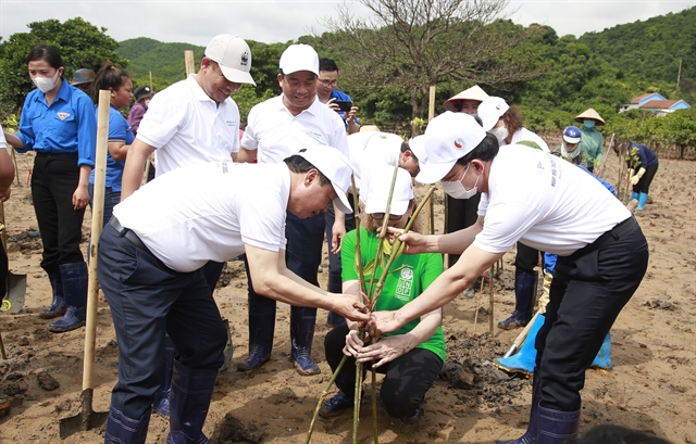 Activities calling for environmental protection efforts launched