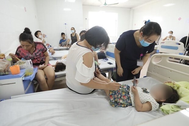 HCM City hospitals train local medical workers in dengue treatment