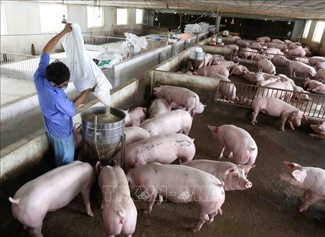 Animal husbandry must go high-tech for export expansion