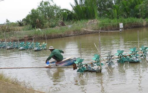 Mekong Delta province says full steam ahead on aquaculture
