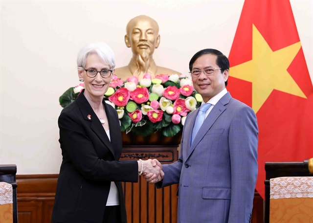 US – leading important partner of Việt Nam: FM