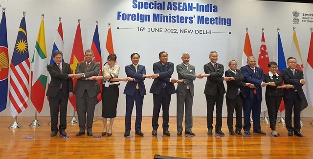 Vietnamese FM attends Special ASEAN - India Foreign Ministers Meeting