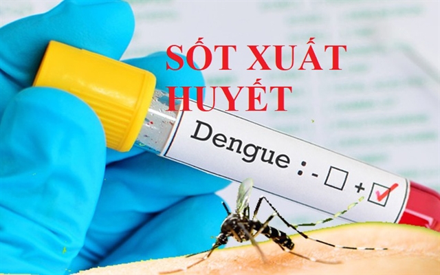 Dengue fever cases increasing in the south central regions
