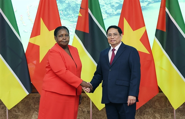 Mozambique is a key partner of Việt Nam in Africa: PM