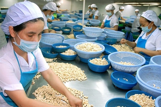Cashew exports to slow in 2022 amid global inflation Russia sanctions